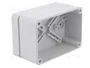 ELEKTRO-PLAST NASIELSK Carcasa Universal Industrial Gris IP65