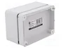 ELEKTRO-PLAST NASIELSK Carcasa Universal Industrial Gris IP65