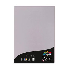 Papel Clairefontaine Pollen A4 120G 50H Gris Koala