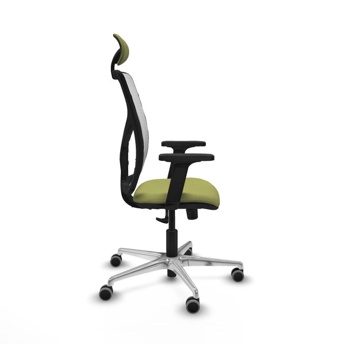 PIQUERAS Y CRESPO Silla de oficina Motilla con mecanismo Sincro, Verde oliva y Blanco