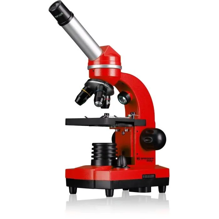 Bresser Microscopio para Estudiantes BIOLUX SEL BRE4007922053530 Aumento 40x-1600x Kit de Experimentación Rojo