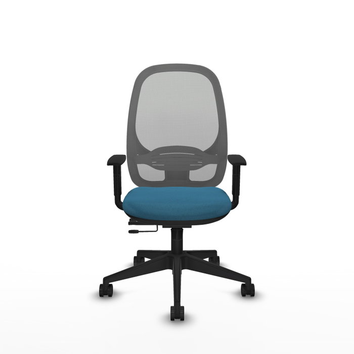 PIQUERAS Y CRESPO Silla de oficina Cilanco con mecanismo Sincro/Traslack, Verde petróleo y Gris PIQUERAS Y CRESPO Silla de oficina Cilanco con mecanismo Sincro/Traslack, Verde petróleo y Gris