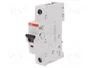 ABB S200 Interruptor magnetotérmico 63A 1 polo 6kA
