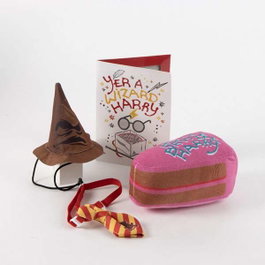 Set para Mascotas Cumpleaños Harry Potter Multicolor 16x26.4x10.5 cm