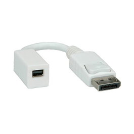 ROLINE Adaptador DisplayPort a Mini DisplayPort 12033132 Blanco