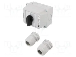 SPAMEL Interruptor de leva 63A 3 polos 0-1 IP65