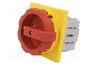 SIEMENS 3LD2504-0TK53 Interruptor de aislamiento de 3 polos 63A