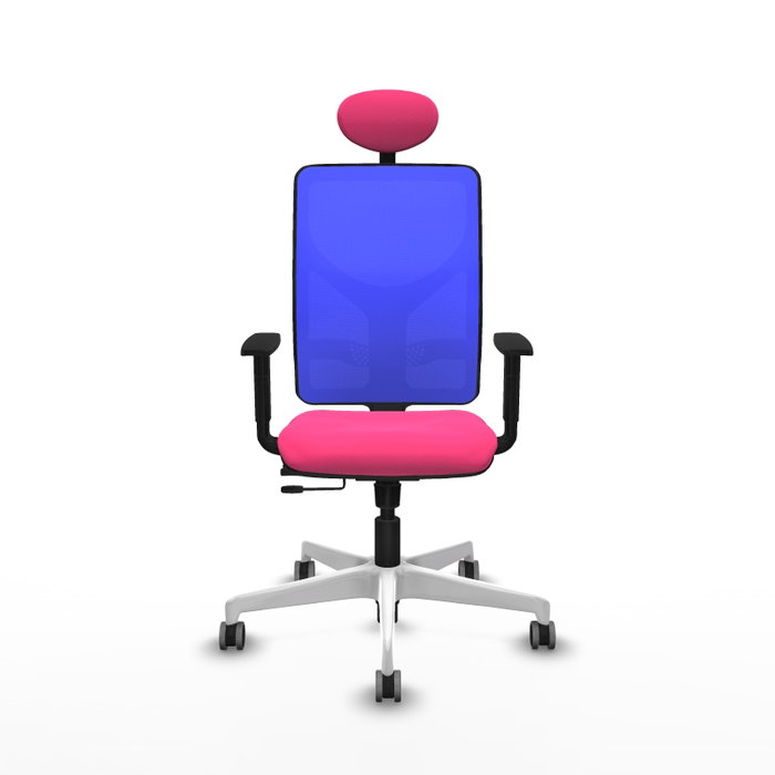 PIQUERAS Y CRESPO Silla de oficina Motilla con mecanismo Sincro/Traslack Rosa y Azul PIQUERAS Y CRESPO Silla de oficina Motilla con mecanismo Sincro/Traslack Rosa y Azul