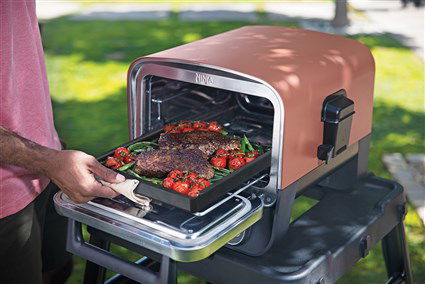 Ninja OO101EU Bandeja de Hierro Fundido para Horno Woodfire Ideal para Caramelizar y Sellar