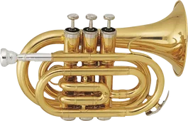 SML Trompeta Pocket Tp50 Si bemol con Estuche y Boquilla SML Paris