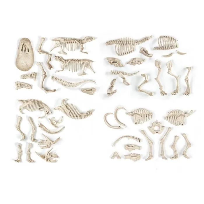 Clementoni Arqueo Ludic Presas y Depredadores Ciencia y Juego - Descubre el pasado excavando y reconstruyendo 2 dinosaurios y 2 animales prehistóricos Clementoni Arqueo Ludic Presas y Depredadores Ciencia y Juego - Descubre el pasado excavando y reconstruyendo 2 dinosaurios y 2 animales prehistóricos