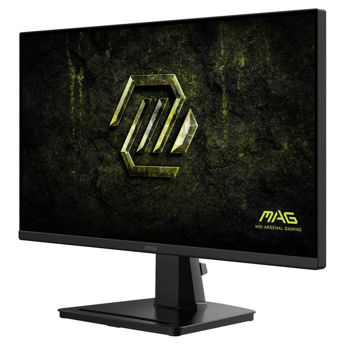 MSI 9S6-3BC2CM-077 Monitor Gaming 24.5 pulg Full HD Rapid IPS 200 Hz 0,5 ms HDR