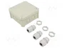 OBO BETTERMANN Caja de conexiones T 60 gris claro