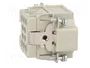 HARTING Han® EE Plantilla de Contacto Macho 10 Pos.