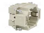 HARTING Han® EE Plantilla de Contacto Macho 10 Pos.