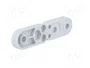 FIBOX Cuelgue para carcasa