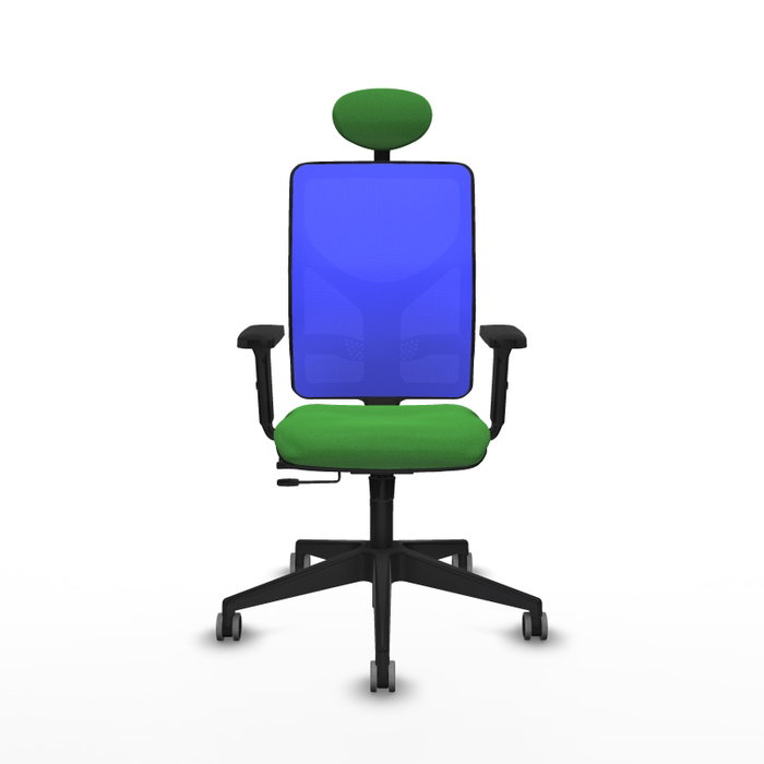 PIQUERAS Y CRESPO Silla de oficina Motilla con mecanismo Sincro/Traslack, Verde y Azul