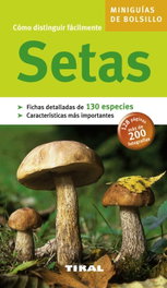 Setas, Varios autores - TIKAL EDICIONES