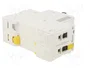 SCHNEIDER ELECTRIC ACTI9 iC60N Interruptor magnetotérmico 2 polos 6A Caract D