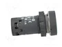 SCHNEIDER ELECTRIC Interruptor de presión Harmony XB7 Verde 22mm