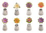 Quttin Boquillas Rusas XL Repostería 6.5 cm Ancho, 4 cm Alto, 10.5 cm Largo (48 Unidades)