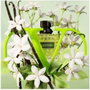 Valentino Donna Born in Roma Green Stravaganza Eau de Parfum 50 ml