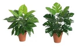 DKD Home Decor Planta PE Surtida Verde 20x20x45 cm