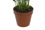 DKD Home Decor Planta PE Surtida Verde 20x20x45 cm