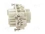 ILME CXF 4/2 Conector HDC Hembra de 4 Pines