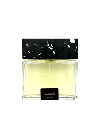 Pictor Parfum Silhouette Extracto de perfume Unisex 100 ml