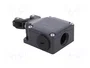 PIZZATO ELETTRICA Interruptor de fin de carrera FL502 NO+NC 10A