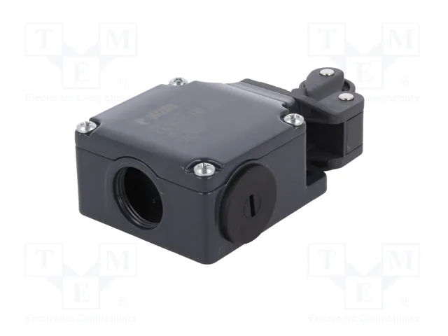 PIZZATO ELETTRICA Interruptor de fin de carrera FL502 NO+NC 10A