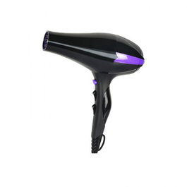 Perfect Beauty Ionic R-3900 Secador Iónico Profesional