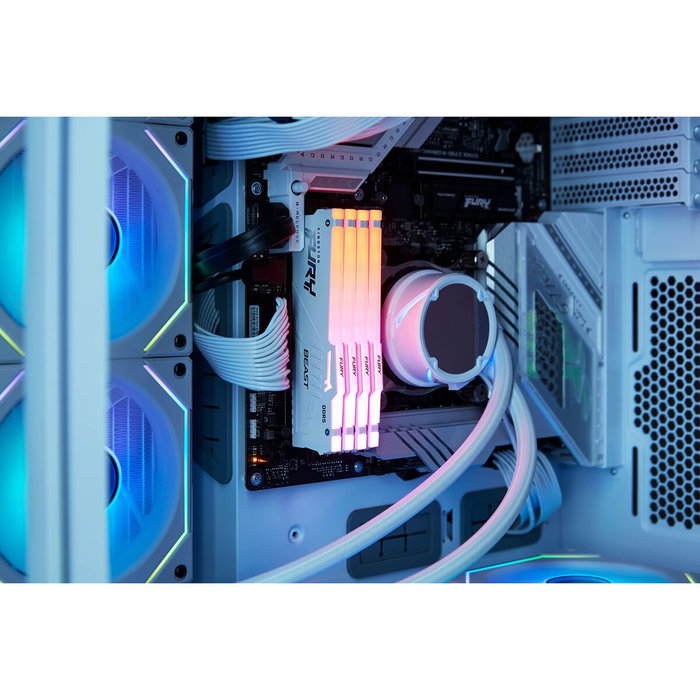 Kingston FURY Beast RGB 16 GB DDR5 5600 MHz CL40 DIMM Kingston FURY Beast RGB 16 GB DDR5 5600 MHz CL40 DIMM