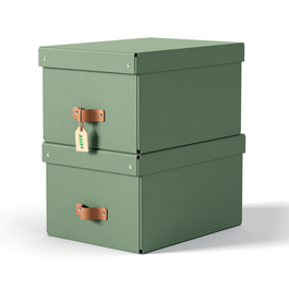 Leitz 61490050 Pack 2 Cajas de Almacenamiento de Cartón Medianas, Formato A4, Volumen 17 L, Color Verde