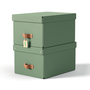 Leitz 61490050 Pack 2 Cajas de Almacenamiento de Cartón Medianas, Formato A4, Volumen 17 L, Color Verde