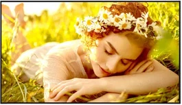 LG 86UL5Q-E Monitor AV Pro 86" IPS WEBOS 6.1 VESA 600x400 Bisel Delgado 12.9mm