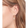 Pendientes Mujer Tommy Hilfiger 2780964 3 cm