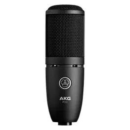 AKG P120 Micrófono Condensador de Gran Diafragma con Patrón Polar Cardioide