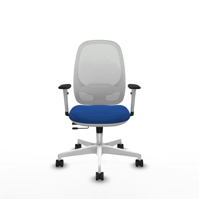 PIQUERAS Y CRESPO Silla de oficina Cilanco con mecanismo Sincro/Traslack Azul y Blanco PIQUERAS Y CRESPO Silla de oficina Cilanco con mecanismo Sincro/Traslack Azul y Blanco