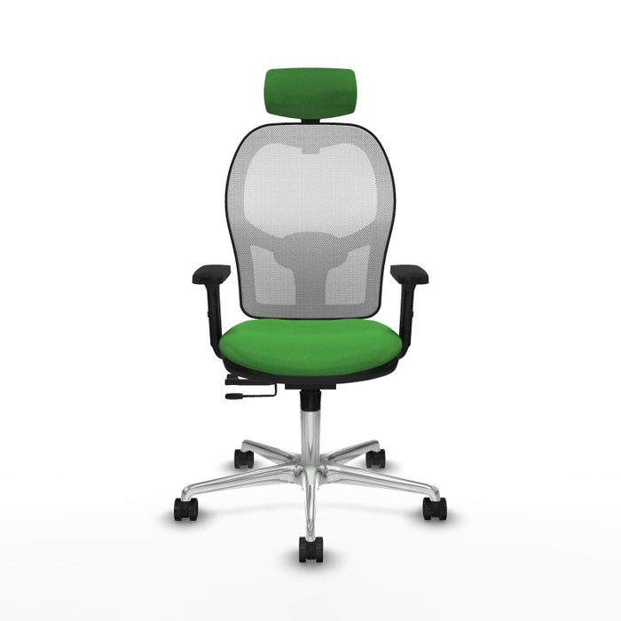 PIQUERAS Y CRESPO Silla de oficina Jorquera Verde con mecanismo Sincro/Traslack PIQUERAS Y CRESPO Silla de oficina Jorquera Verde con mecanismo Sincro/Traslack