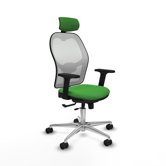PIQUERAS Y CRESPO Silla de oficina Jorquera Verde con mecanismo Sincro/Traslack PIQUERAS Y CRESPO Silla de oficina Jorquera Verde con mecanismo Sincro/Traslack