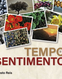Tempo e sentimento, Fausto Reis - EDIÇOES ESGOTADAS