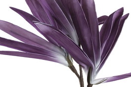 DKD Home Decor Rama Azul Lila 45 x 122 x 45 cm (6 Unidades) Material Eva