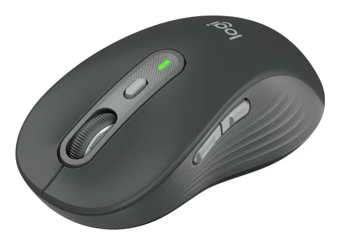 Logitech Signature Plus M750L Ratón Inalámbrico y Bluetooth para Mano Derecha, Óptico 4000 DPI, Clic Silencioso, 6 Botones, Grafito, Compatible con Windows, macOS, Android