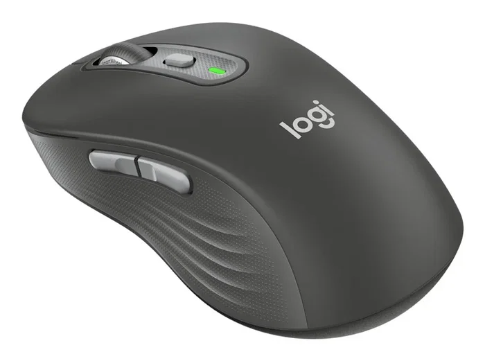 Logitech Signature Plus M750L Ratón Inalámbrico y Bluetooth para Mano Derecha, Óptico 4000 DPI, Clic Silencioso, 6 Botones, Grafito, Compatible con Windows, macOS, Android
