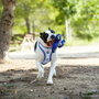 Cerdá Juguete Para Perro Tpr Real Madrid Azul