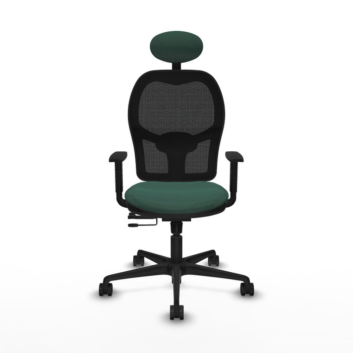 Silla de oficina Jorquera con mecanismo Sincro/Traslack tapizada con Tela color Verde botella y malla color Negro. Equipada con lumbar 1D, Brazos 1D, Cabecero Fijo y Ruedas 65mm nailon Silla de oficina Jorquera con mecanismo Sincro/Traslack tapizada con Tela color Verde botella y malla color Negro. Equipada con lumbar 1D, Brazos 1D, Cabecero Fijo y Ruedas 65mm nailon