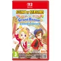Just For Games JUS1744105043290 Story of Seasons: Grand Bazaar - Juego para Nintendo Switch