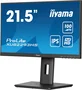 Iiyama ProLite XUB2293HS-B6 Monitor 21.5 pulgadas Full HD IPS Negro